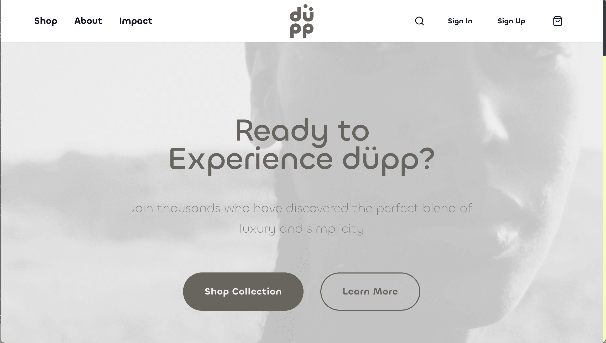 Düpp - Online Shop Platform